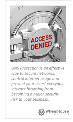DNS Filtering & Protection Tampa